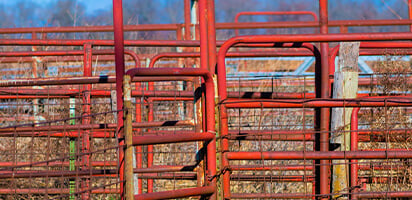 Metal Gate Panels